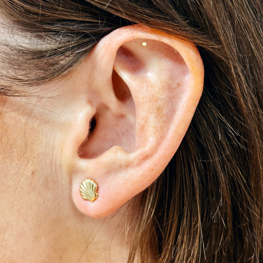 Sea Shell Stud Earrings