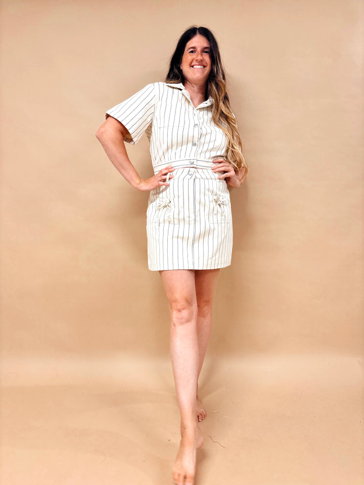 Evann Striped Denim Skirt